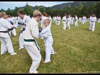 2017-06-30 8152-border